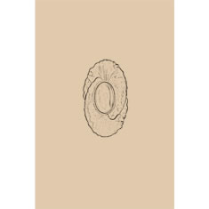 Artigiana Fiorentina Bigiotteria - Orecchino ottone