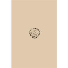 Artigiana Fiorentina Bigiotteria - Orecchino ottone dorato