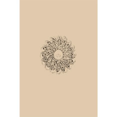 Artigiana Fiorentina Bigiotteria - Spilla ottone  dorato