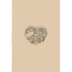 Artigiana Fiorentina Bigiotteria - Spilla ottone  dorato