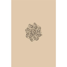 Artigiana Fiorentina Bigiotteria - Spilla ottone  dorato
