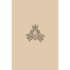 Artigiana Fiorentina Bigiotteria - Spilla ottone  dorato
