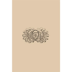 Artigiana Fiorentina Bigiotteria - Spilla ottone  dorato