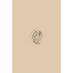 Artigiana Fiorentina Bigiotteria - Orecchino ottone dorato
