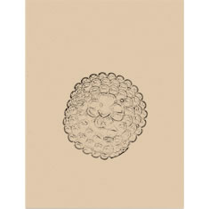 Artigiana Fiorentina Bigiotteria - Orecchino ottone