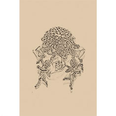 Artigiana Fiorentina Bigiotteria - Orecchino ottone dorato