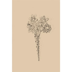 Artigiana Fiorentina Bigiotteria - Spilla ottone  dorato