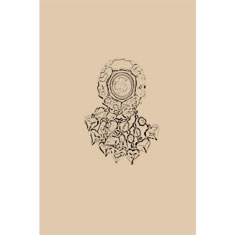 Artigiana Fiorentina Bigiotteria - Orecchino ottone dorato