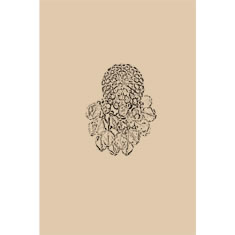 Artigiana Fiorentina Bigiotteria - Orecchino ottone dorato