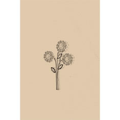 Artigiana Fiorentina Bigiotteria - Spilla ottone  dorato