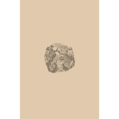 Artigiana Fiorentina Bigiotteria- Orecchini Ottone dorato