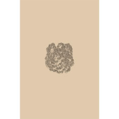 Artigiana Fiorentina Bigiotteria - Orecchini