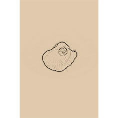 Artigiana Fiorentina Bigiotteria - Orecchini