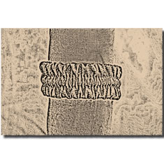 BRACCIALE ELASTICO