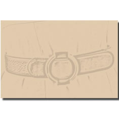 CINTURA ANELLI