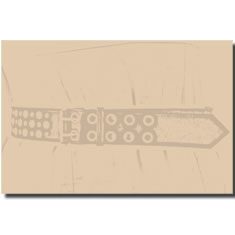 CINTURA DOMINO