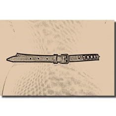 CINTURA BORCHIATA