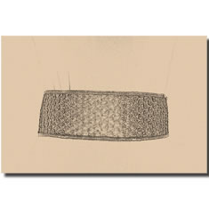 CINTURA CORSETTO IN PELLE STAMPATA
